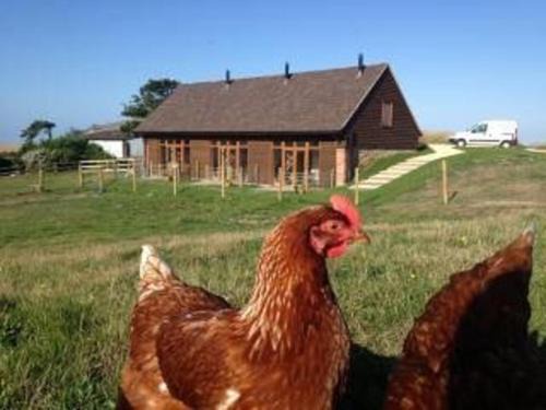 Shorwell Casa | Bike Shed 1-Bed Cottage Sleeps 2 Pet Friendly