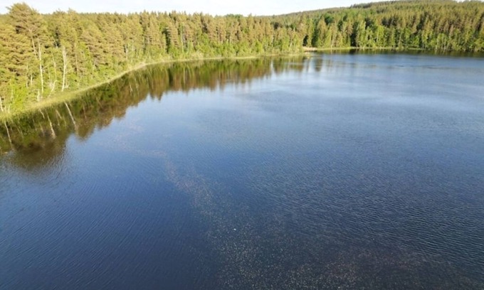Vimmerby Municipality Casa | Blåbär hus Vimmerby - Nature, sauna & lake: Your retreat in the heart of Småland