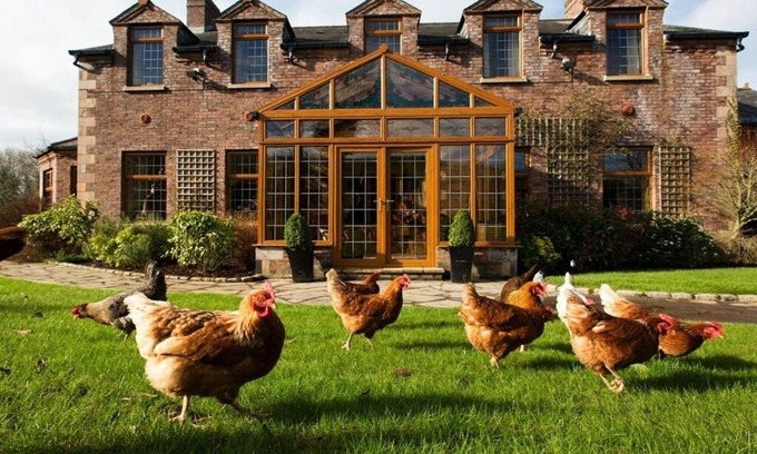 Craigavon Casa | Blackwell House