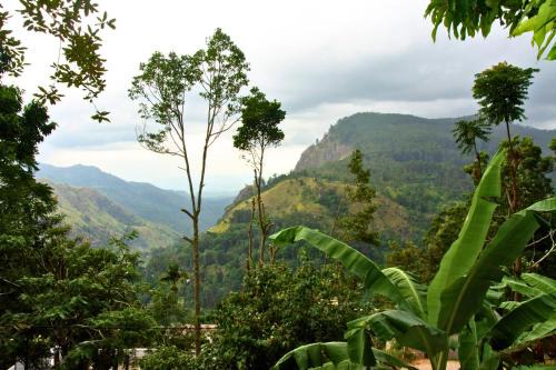 Ella Hotel | Bliss In Viya