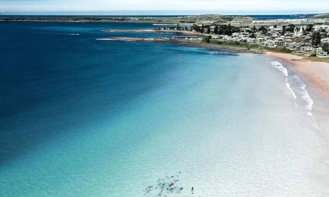 Lake Illawarra Casa | Blue Beach House - dog friendly. Walk to Beach, lake. Fish surf swim SUP dive