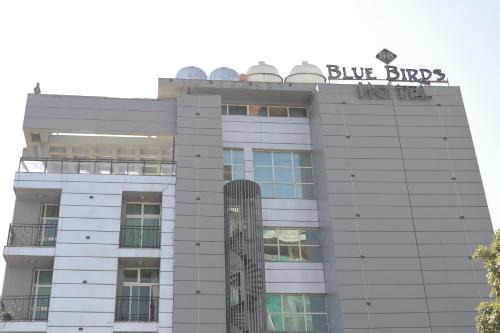 Bole Hotel | Blue Birds International Hotel