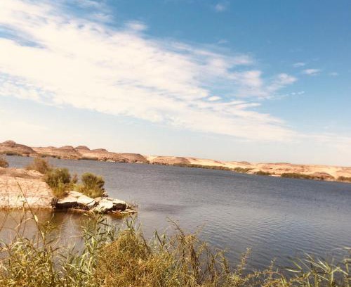 Abu Simbel Apartamento | Blue rose