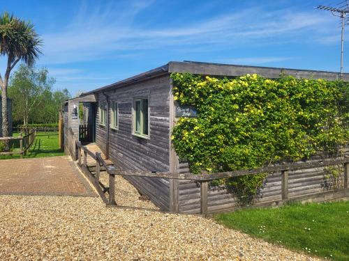 Holsworthy Casa | Bluebell Lodge