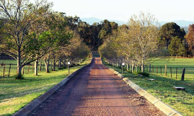 Pokolbin Casa | Blueberry Hill Vineyard Stay