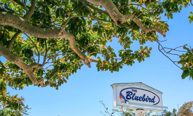 Cambria Hotel | Bluebird Inn