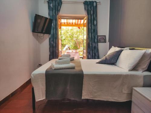 Nettuno Cama Y Desayuno | BnB The Station