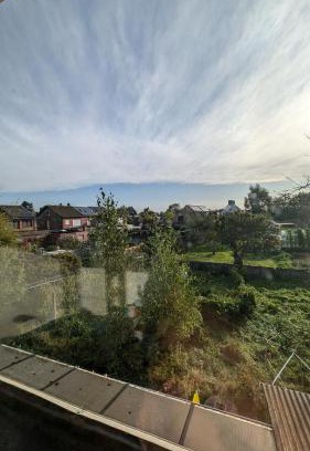 Waarloos Casa | Boboc's