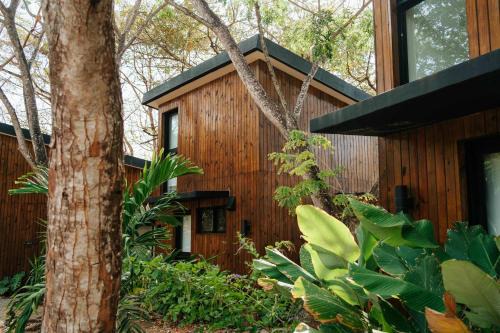 Las Escobas del Venado Apartamento | Body - Oceanfront Jungle Loft