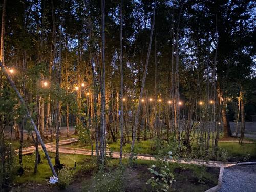 Pucon Casa | Boker Tov Pucón