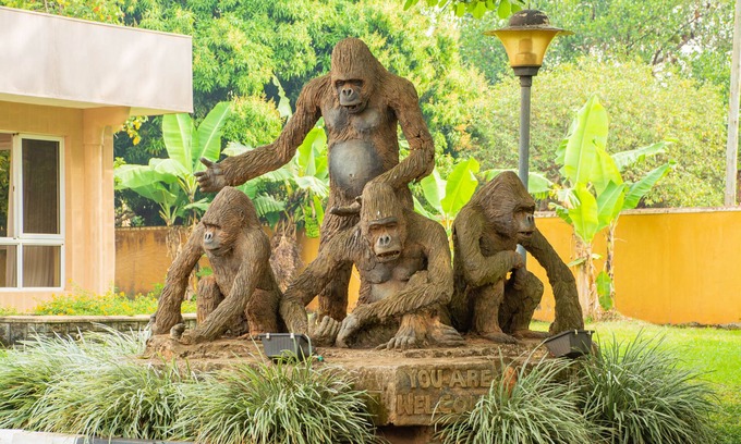 Gulu Hotel | Bomah Hotel Limited