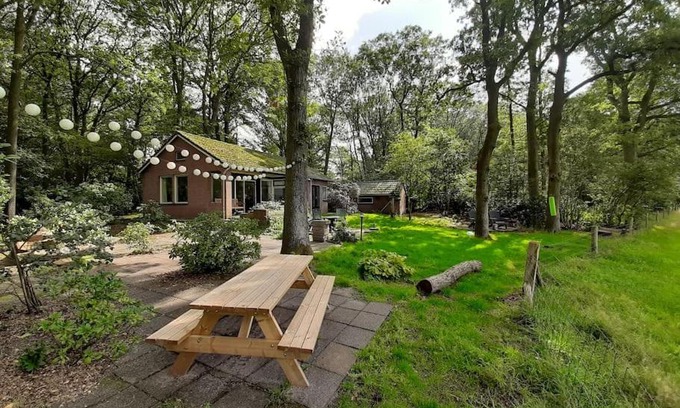 Doldersum Casa | Boshuisje Doldersum: omheinde tuin en uniek uitzicht
