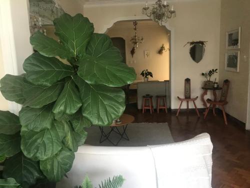 Laranjeiras Apartamento | Botanic Apartamento Inteiro em Ipanema