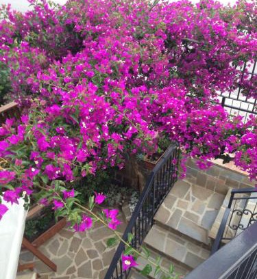 Marina di Casal Velino Casa | BOUGAINVILLEA Relax e Mare a 50m, in Centro!