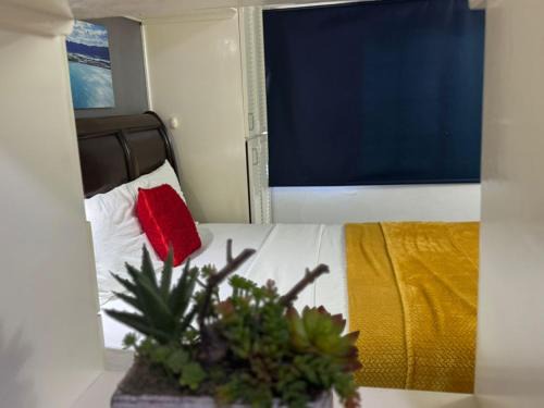 Eden Gardens Apartamento | Budget Kingston Classic - Kensington Nest