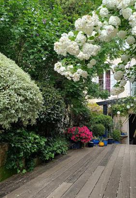Pons Casa | Buky Palace