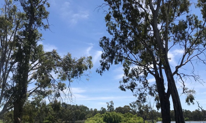 Bundalong Casa | Costa de Bundalong Murray River