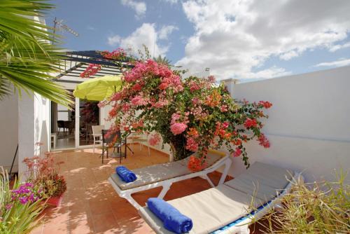 Sonnenland Apartamento | Bungalow Aloe Dunas