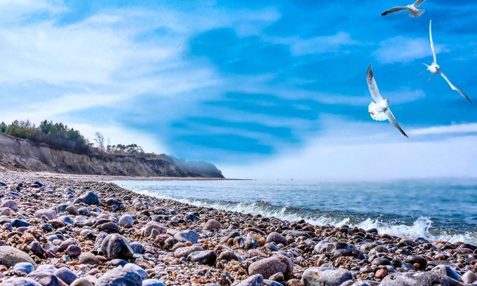 Bakenberg Apartamento | Bungalowdorf Wald & Sand - Category 3 No. 23 - Ferienpark Bakenberg