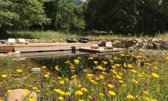 Petreto-Bicchisano Casa | Bungalows rodeados de naturaleza, piscina natural y jardín orgánico.
