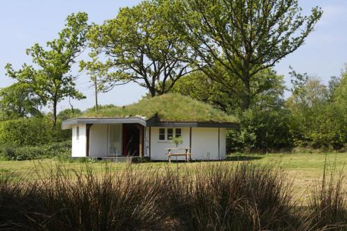Chard Otro | Buzzard's Nest Glamping Oak