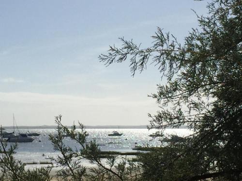 Biganos Casa | Côté bassin, maison 4 personnes