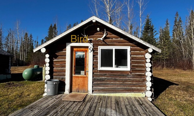 Northern Ontario Cabina | Buck Fever Services - Loding, Convenience +, Fluids, Wifi, Outdoors, Rental, etc