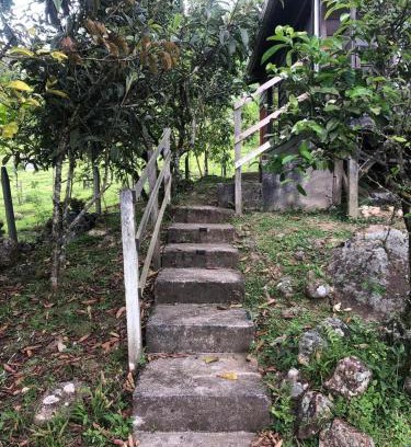 Santa Cruz de Turrialba Casa | Cabaña El Bosque