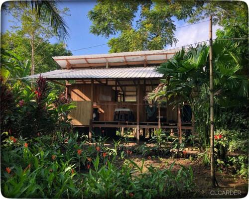 Arusi Casa | Cabaña Espavé - Arusí, Chocó