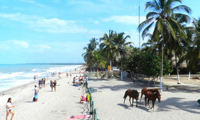 Palomino Apartamento | Cabañas Vacacionales En Palomino Guajira