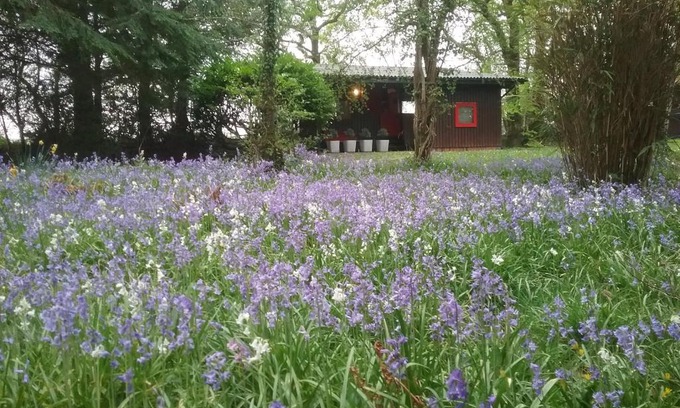 Cenarth Chalet De Esquí | Caban Cwtch