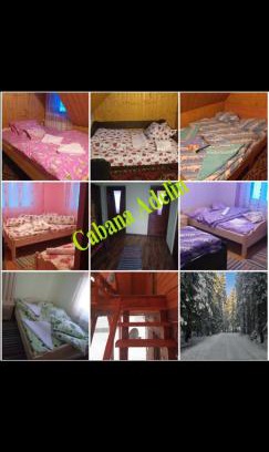 Garda de Sus Casa | Cabana Adelin