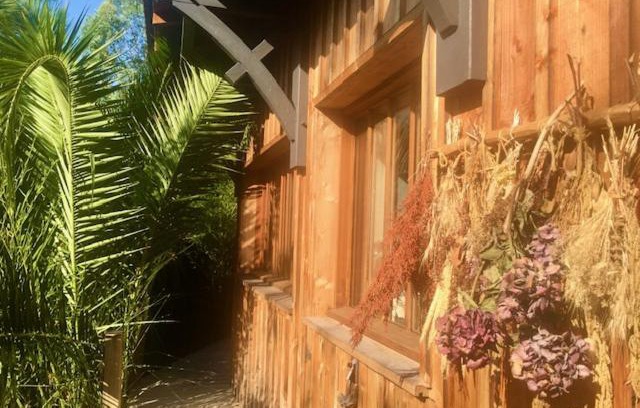 Cap-Ferret Cama Y Desayuno | Cabane Chic au Cap Ferret
