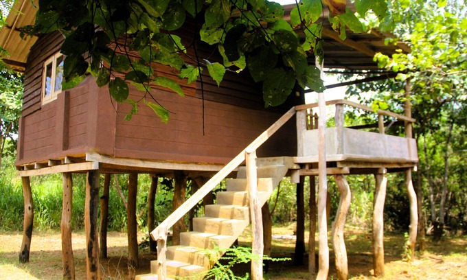 Habarana Cabina | Cabin Air Conditioned - Eagles Wing's GuestHouse