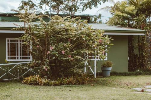 Turrialba Apartamento | Cabin at Los Titos Coffee Farm