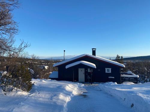 Vestre Slidre Casa | Cabin in the Mountain, with Solar Energy