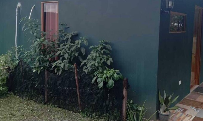 Palma Hotel | Cabinas Golfo Aventuras