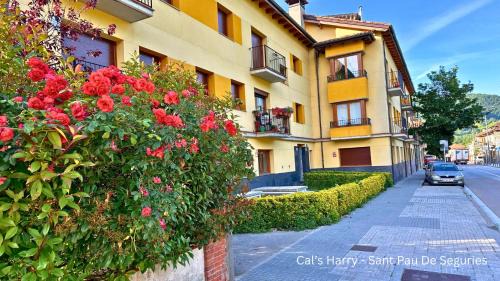 Sant Pau de Seguries Apartamento | Cal Harrys - La Mejor Casa de vacaciones en Pyrenees con Vistas a la Montaña