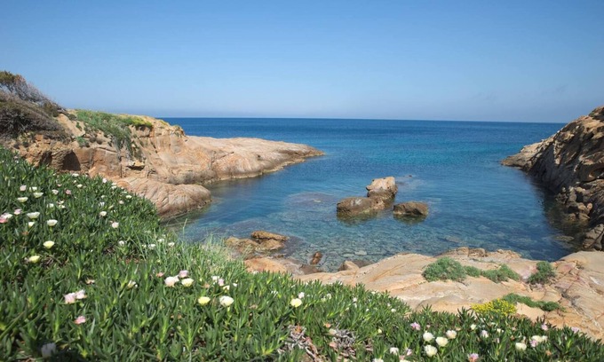 Giglio Campese Apartamento | Cala Monellina - Villa Manzoni