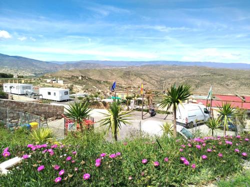 Alhama de Almeria Otro | Camping el Palomar