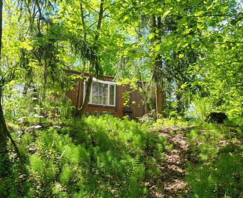 Krustini Casa | Camping House Aivari