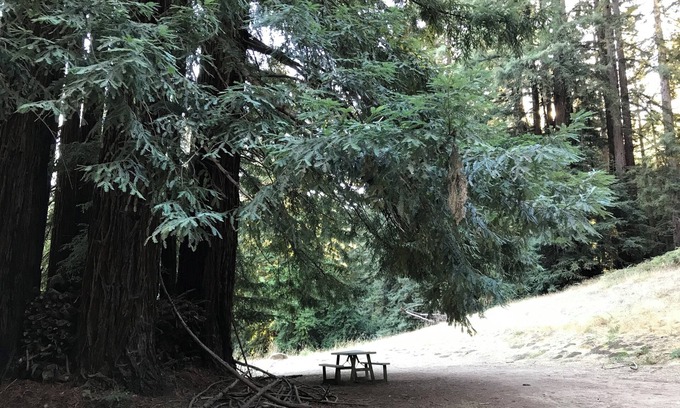 Los Gatos Alquiler De RV | Campsite #8 with hot water shower in 45acre Redwood Mountain Retreat