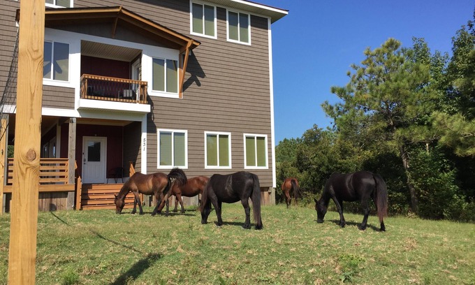 Carova Beach Casa | Ubicación del canal. Aparcamiento gratuito en la playa. BAÑERA DE HIDROMASAJE.