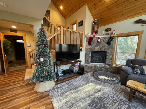 McHenry Casa | Canopy Escape