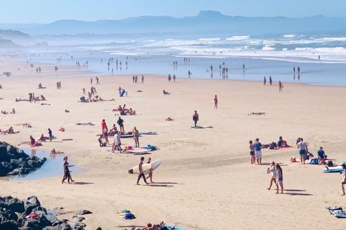 Biarritz Apartamento | Carlina Lodge