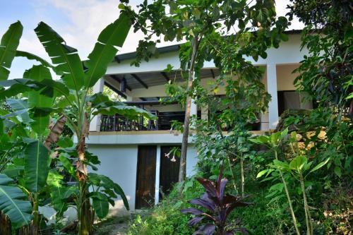 Palomino Casa | Casa AliBri