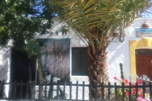 Rodalquilar Casa | Casa Bartolo