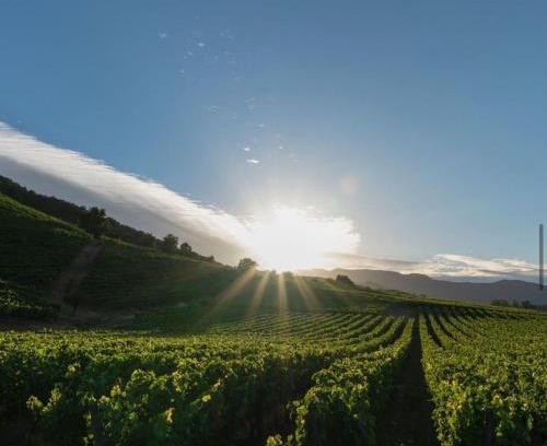 Santa Cruz Villa | Casa campo, valle de apalta, Santa Cruz