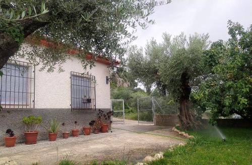 Letur Casa | Casa Chorreón