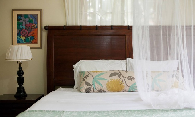 Mandeville Apartamento | Casa da Buena Vista B&B Apt 1 | 4 minutos de la ciudad / NCU